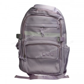Спортивні рюкзаки FA6603 purple