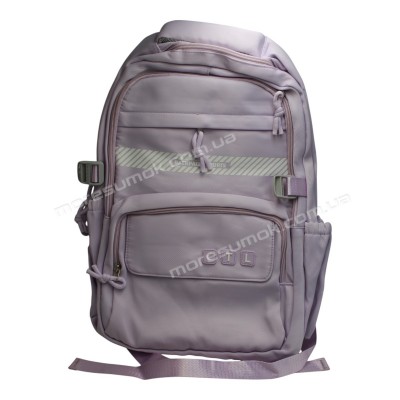 Спортивні рюкзаки FA6603 purple