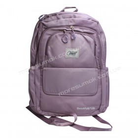 Спортивні рюкзаки FSN4311 light purple
