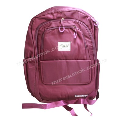 Спортивні рюкзаки FSN4311 dark purple