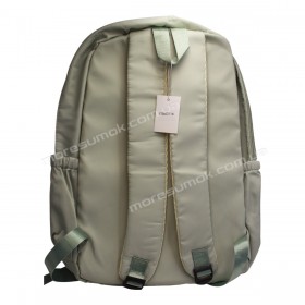 Спортивні рюкзаки FSN4311 green