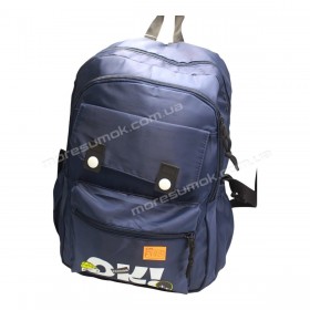 Спортивні рюкзаки FN1325 blue