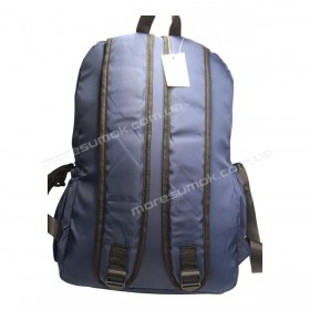 Спортивні рюкзаки FN1325 blue