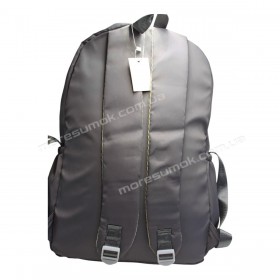 Спортивні рюкзаки FSN5503 gray