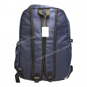 Спортивные рюкзаки 13166 blue