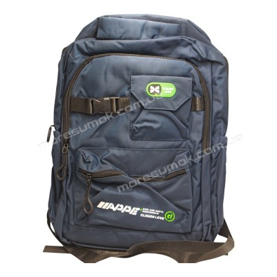 Спортивні рюкзаки NC6625 blue