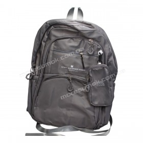 Спортивні рюкзаки FSN5502 gray