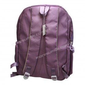 Спортивні рюкзаки FSN5502 purple