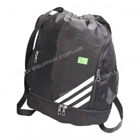 Спортивные рюкзаки 603 black