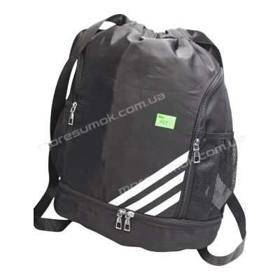 Спортивні рюкзаки 603 black