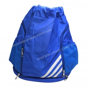 Спортивні рюкзаки 603 light blue