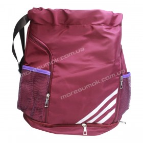 Спортивні рюкзаки 603 purple