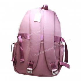 Спортивні рюкзаки FA5004 purple