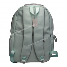 Спортивные рюкзаки EF8806 green
