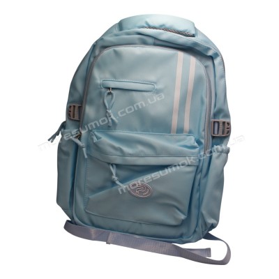 Спортивні рюкзаки FA5008 light blue
