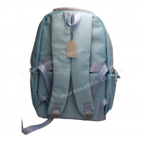 Спортивні рюкзаки FA5008 light blue
