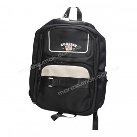 Спортивні рюкзаки EF8809 black