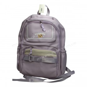 Спортивні рюкзаки EF8809 purple