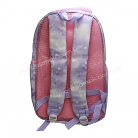 Спортивные рюкзаки YH5501 purple