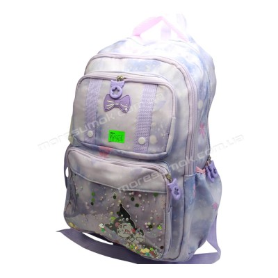 Спортивні рюкзаки YH5506 purple