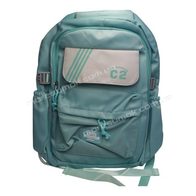 Спортивні рюкзаки FA50012 green