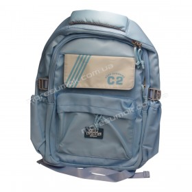 Спортивні рюкзаки FA50012 blue
