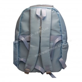Спортивні рюкзаки FA50012 blue