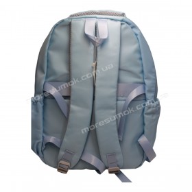 Спортивні рюкзаки FA50012 blue