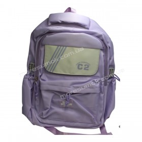 Спортивні рюкзаки FA50012 purple