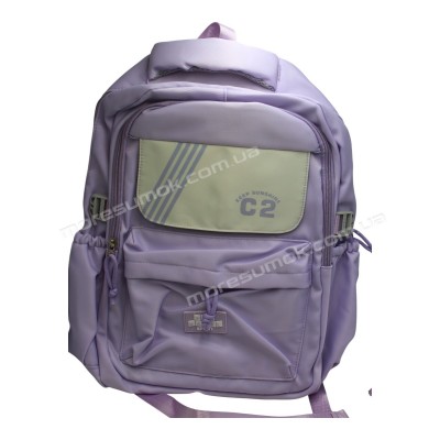 Спортивні рюкзаки FA50012 purple