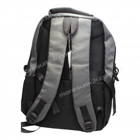 Спортивні рюкзаки FAN8006 dark gray-black