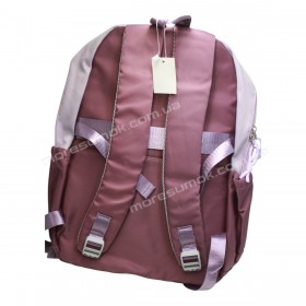Спортивні рюкзаки FA5009 purple