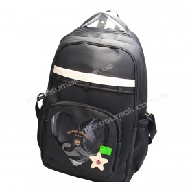 Спортивні рюкзаки EF8805 black