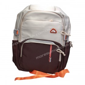 Спортивні рюкзаки FA6606 beige-wine