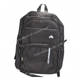 Спортивні рюкзаки FA6606 black