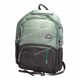 Спортивні рюкзаки FA6606 green-gray