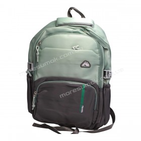 Спортивні рюкзаки FA6606 green-gray