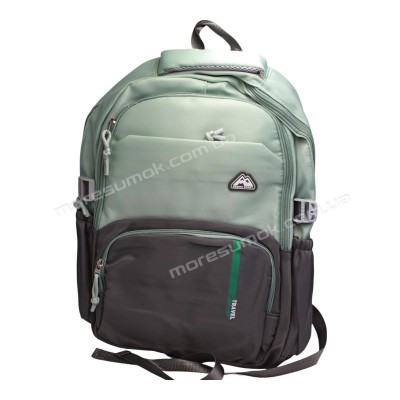 Спортивні рюкзаки FA6606 green-gray