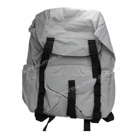 Спортивні рюкзаки YL1037 light gray