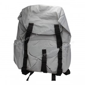 Спортивні рюкзаки YL1037 light gray