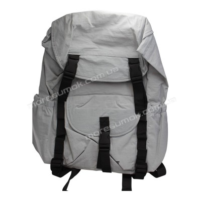 Спортивні рюкзаки YL1037 light gray