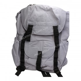 Спортивні рюкзаки YL1037 purple