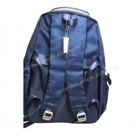 Спортивні рюкзаки FA5011 blue