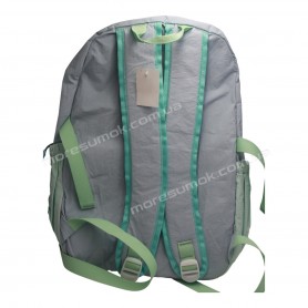 Спортивні рюкзаки Y1003 light blue
