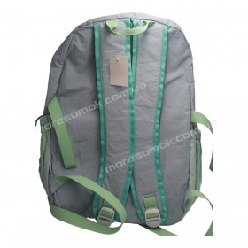 Спортивные рюкзаки Y1003 light blue