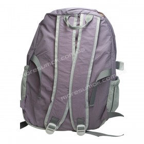 Спортивные рюкзаки Y1003 purple