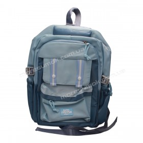 Спортивні рюкзаки FA5015 light blue