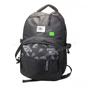 Спортивні рюкзаки FAN8005 black
