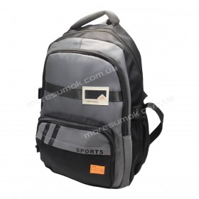 Спортивні рюкзаки FA6601 black