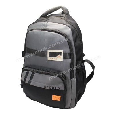 Спортивні рюкзаки FA6601 black